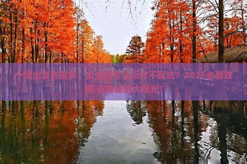 十堰到重庆自由团