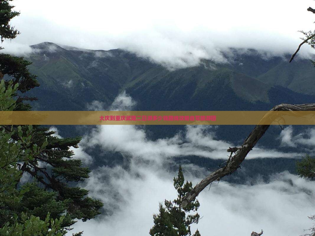 大庆到重庆武隆二日游