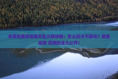 东莞到重庆武隆天生三桥攻略