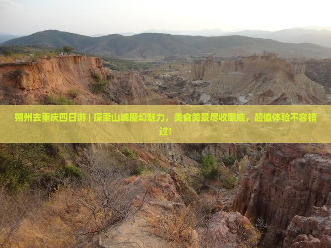朔州去重庆四日游