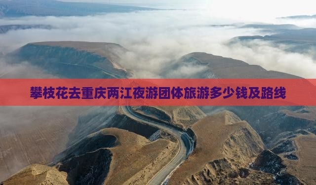攀枝花去重庆两江夜游团体旅游