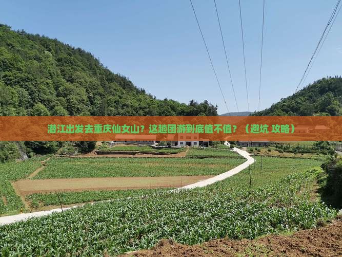 潜江到重庆仙女山团体旅游