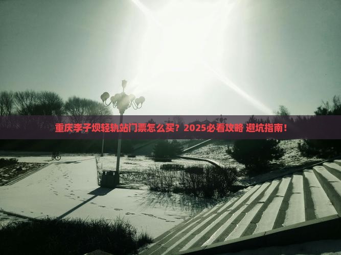 重庆去重庆李子坝轻轨站门票