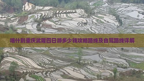 喀什到重庆武隆四日游