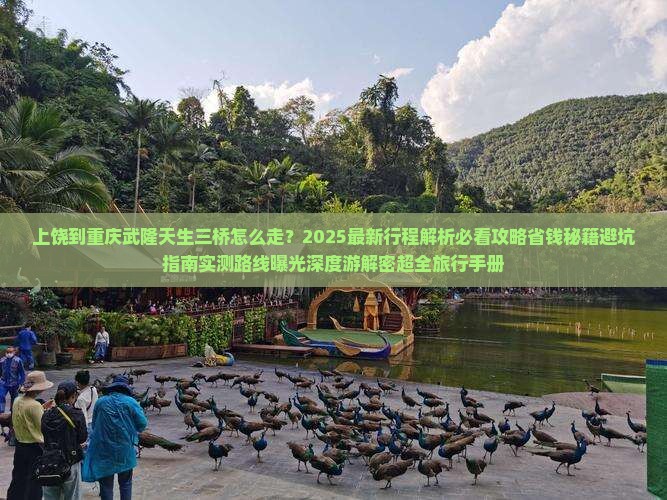 上饶到重庆武隆天生三桥旅行社