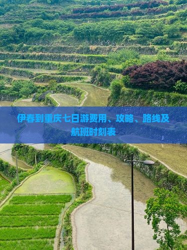 伊春到重庆七日游费用、攻略、路线及航班时刻表