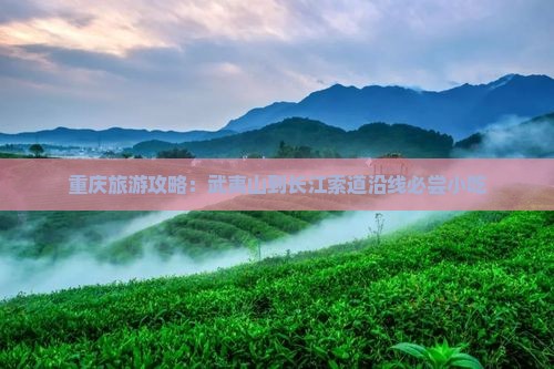 重庆旅游攻略：武夷山到长江索道沿线必尝小吃
