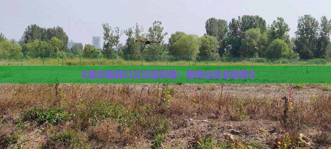 《重庆磁器口五日游攻略：临猗出发全指南》