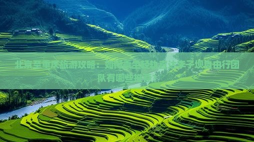 北京至重庆旅游攻略：如何乘坐轻轨直达李子坝自由行团队有哪些推荐？