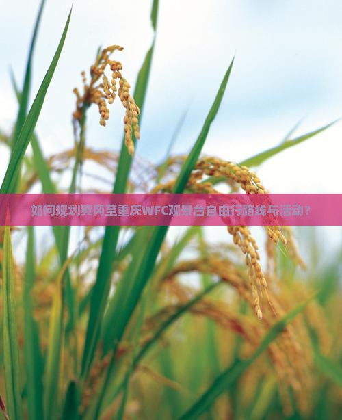 如何规划黄冈至重庆WFC观景台自由行路线与活动？