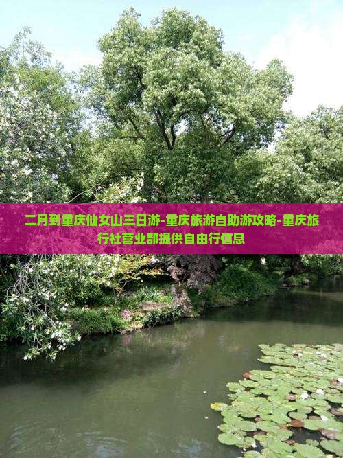 二月到重庆仙女山三日游-重庆旅游自助游攻略-重庆旅行社营业部提供自由行信息