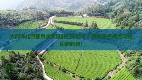 为何海北游客到重庆磁器口必打卡？网红景点痛点与热词新趋势！
