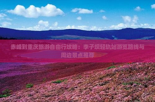 赤峰到重庆旅游自由行攻略：李子坝轻轨站游览路线与周边景点推荐