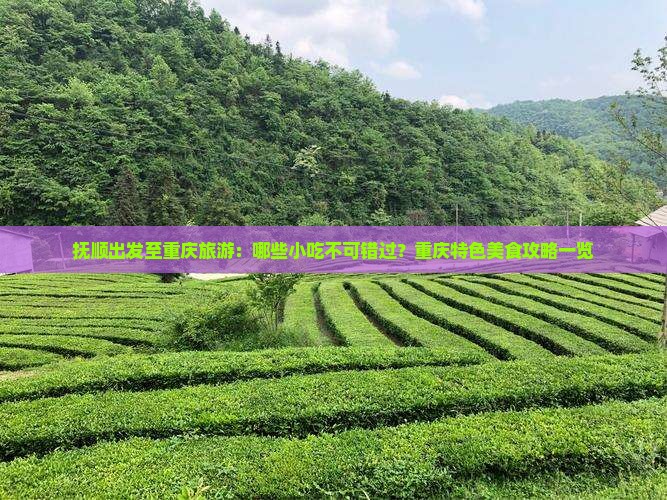 抚顺出发至重庆旅游：哪些小吃不可错过？重庆特色美食攻略一览