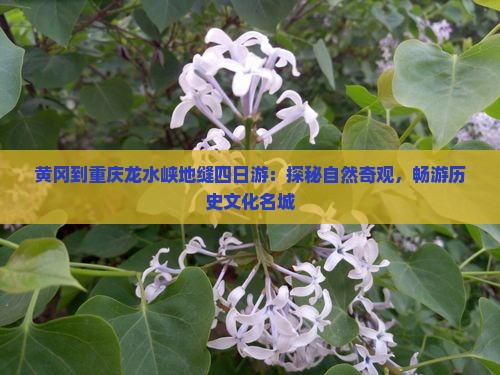 黄冈到重庆龙水峡地缝四日游：探秘自然奇观，畅游历史文化名城
