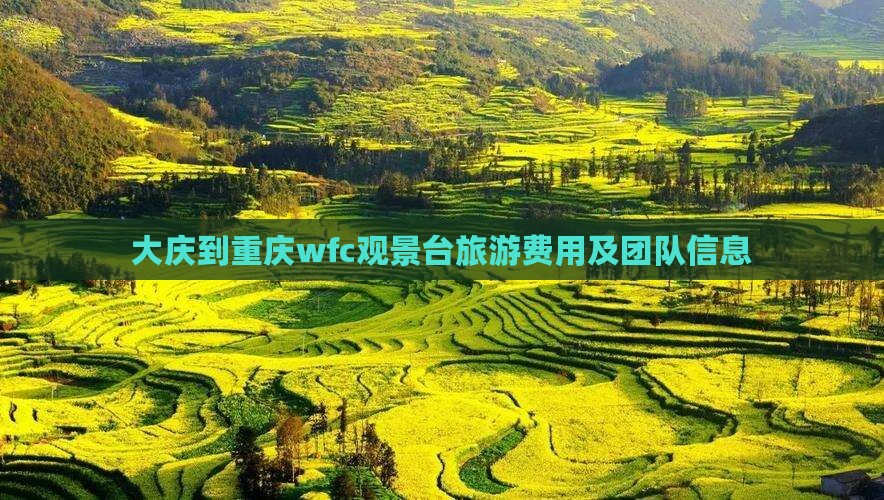 大庆到重庆wfc观景台旅游费用及团队信息