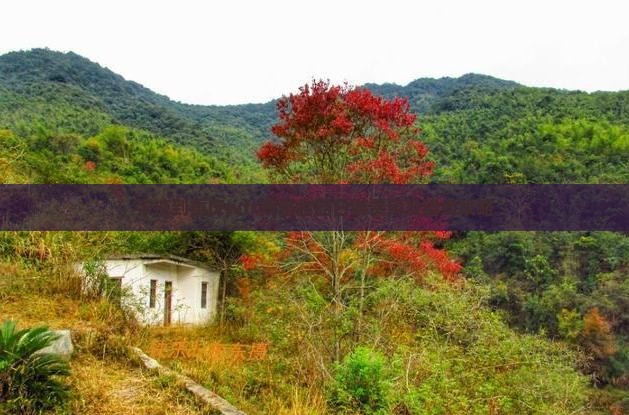 张掖到重庆wfc观景台四日游费用及路线攻略