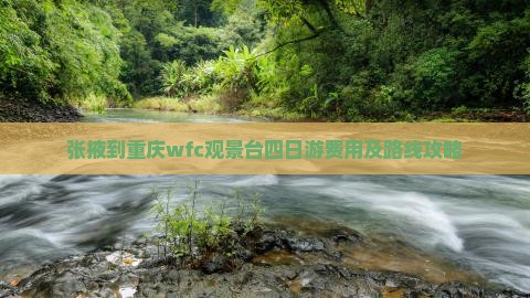 张掖到重庆wfc观景台四日游费用及路线攻略