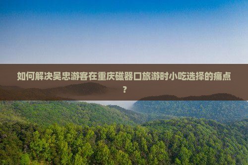 如何解决吴忠游客在重庆磁器口旅游时小吃选择的痛点？