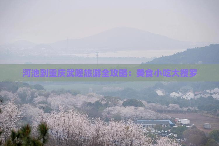 河池到重庆武隆旅游全攻略：美食小吃大搜罗