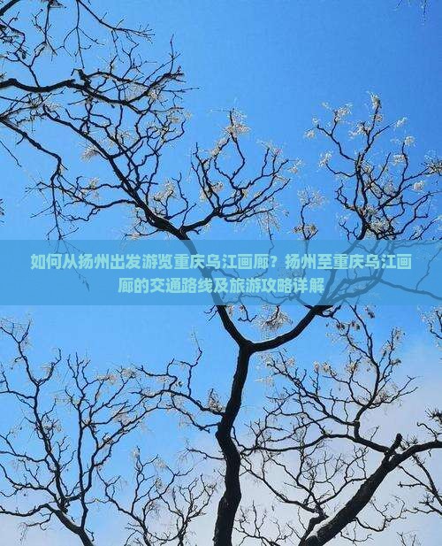 如何从扬州出发游览重庆乌江画廊？扬州至重庆乌江画廊的交通路线及旅游攻略详解