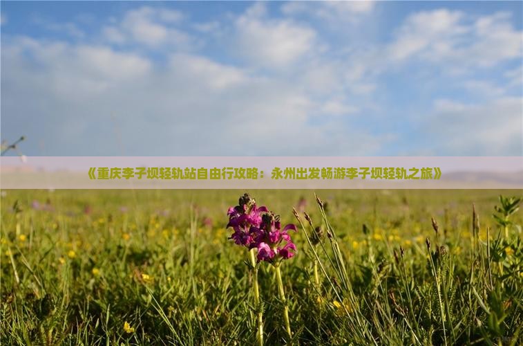 《重庆李子坝轻轨站自由行攻略：永州出发畅游李子坝轻轨之旅》