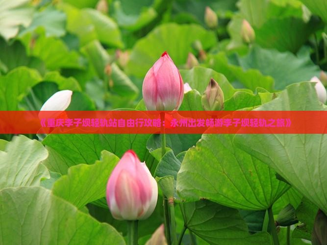 《重庆李子坝轻轨站自由行攻略：永州出发畅游李子坝轻轨之旅》
