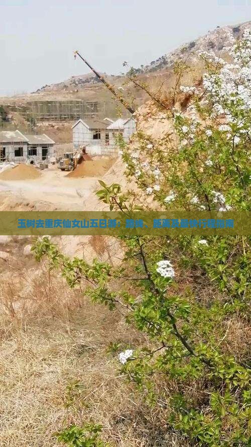 玉树去重庆仙女山五日游：路线、距离及最快行程指南
