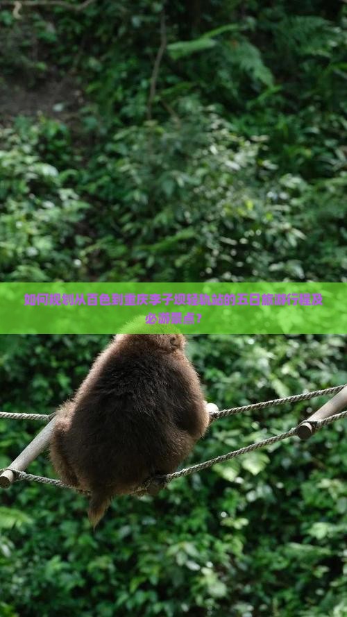 如何规划从百色到重庆李子坝轻轨站的五日旅游行程及必游景点？