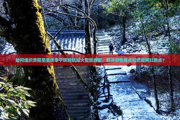 如何组织贵阳至重庆李子坝轻轨站大型旅游团，解决游客痛点和把握网红热点？