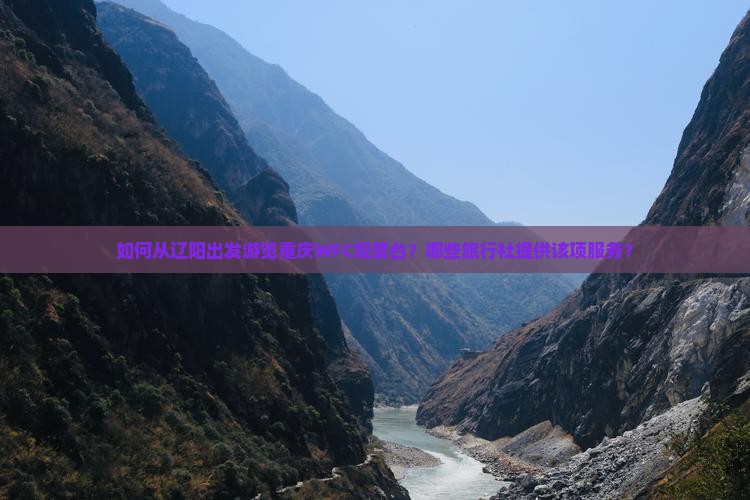 如何从辽阳出发游览重庆WFC观景台？哪些旅行社提供该项服务？