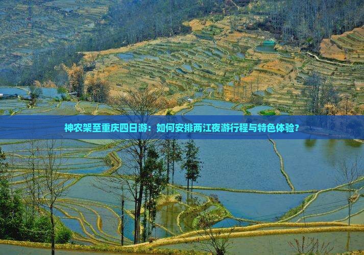 神农架至重庆四日游：如何安排两江夜游行程与特色体验？