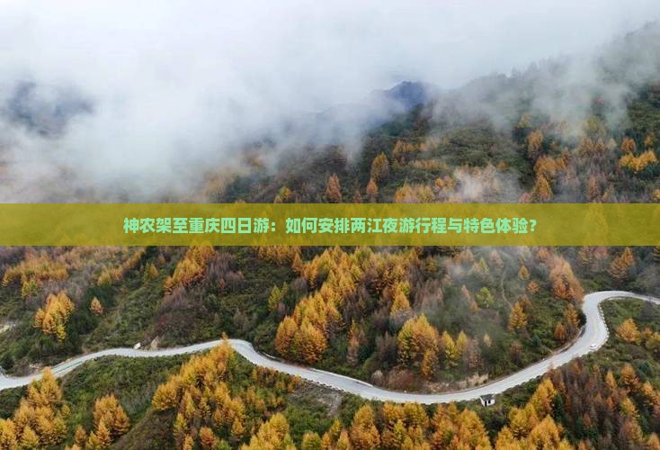 神农架至重庆四日游：如何安排两江夜游行程与特色体验？