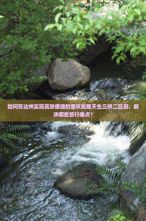 如何在达州实现高效便捷的重庆武隆天生三桥二日游，解决哪些旅行痛点？