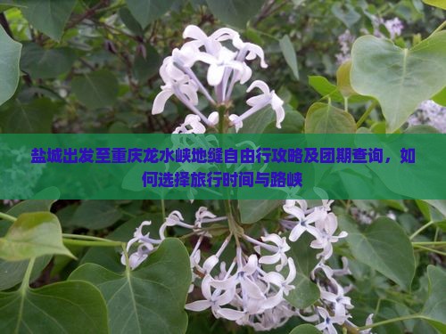 盐城出发至重庆龙水峡地缝自由行攻略及团期查询，如何选择旅行时间与路峡
