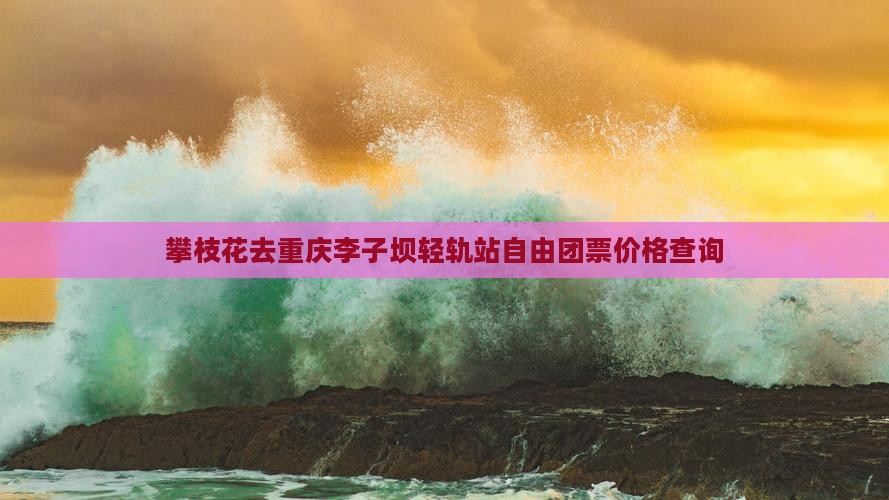 攀枝花去重庆李子坝轻轨站自由团票价格查询