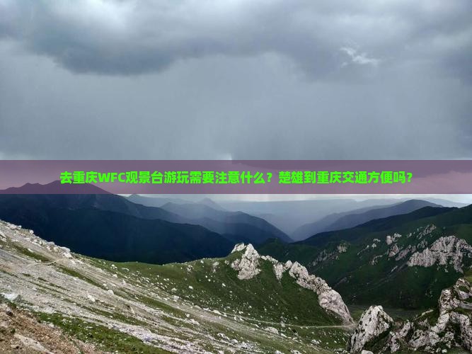 去重庆WFC观景台游玩需要注意什么？楚雄到重庆交通方便吗？