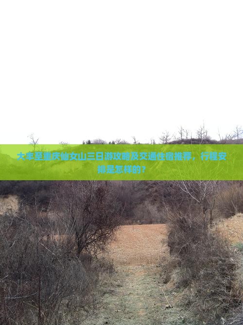 大丰至重庆仙女山三日游攻略及交通住宿推荐，行程安排是怎样的？