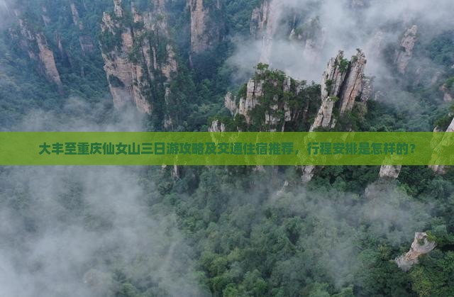 大丰至重庆仙女山三日游攻略及交通住宿推荐，行程安排是怎样的？