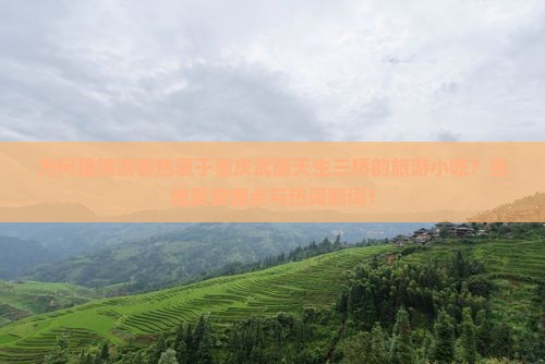 为何盘锦游客热衷于重庆武隆天生三桥的旅游小吃？当地美食痛点与热词新词！
