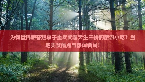 为何盘锦游客热衷于重庆武隆天生三桥的旅游小吃？当地美食痛点与热词新词！