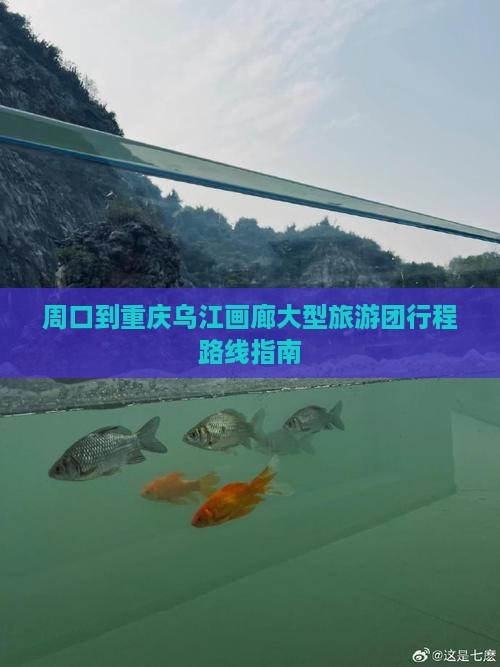 周口到重庆乌江画廊大型旅游团行程路线指南
