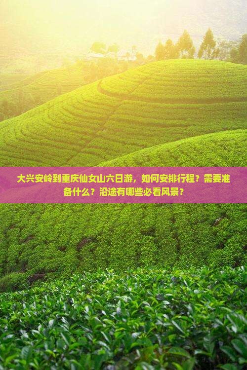 大兴安岭到重庆仙女山六日游，如何安排行程？需要准备什么？沿途有哪些必看风景？