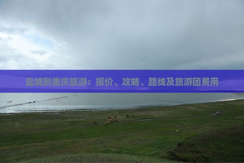 盐城到重庆旅游：报价、攻略、路线及旅游团费用