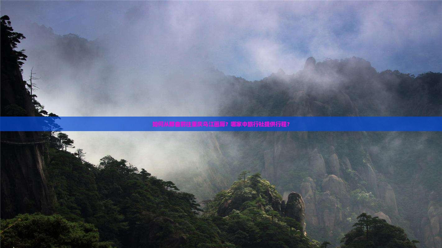 如何从那曲前往重庆乌江画廊？哪家中旅行社提供行程？
