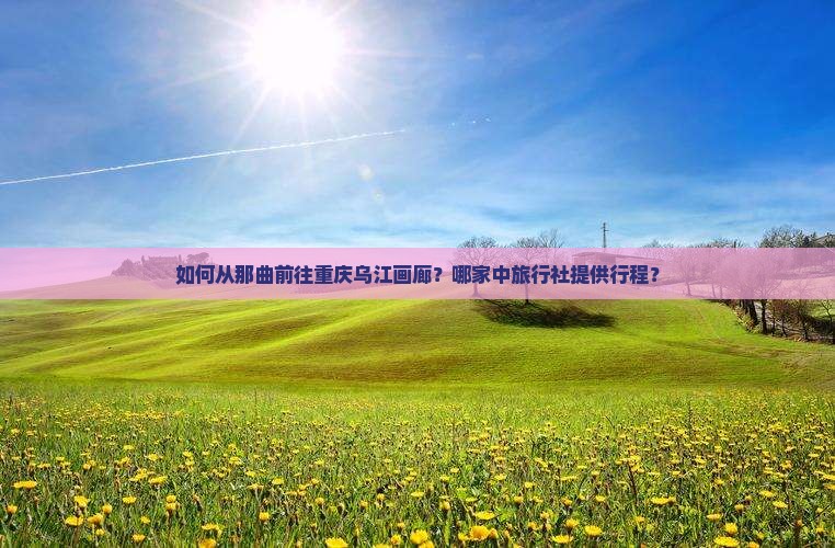 如何从那曲前往重庆乌江画廊？哪家中旅行社提供行程？