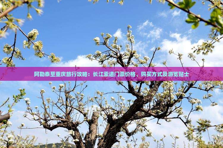 阿勒泰至重庆旅行攻略：长江索道门票价格、购买方式及游览贴士