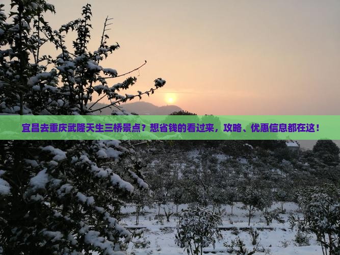 宜昌去重庆武隆天生三桥景点？想省钱的看过来，攻略、优惠信息都在这！