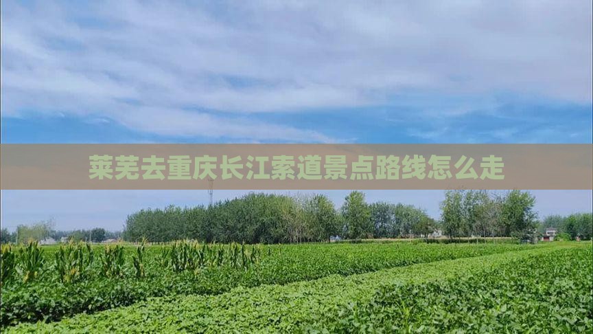 莱芜去重庆长江索道景点路线怎么走