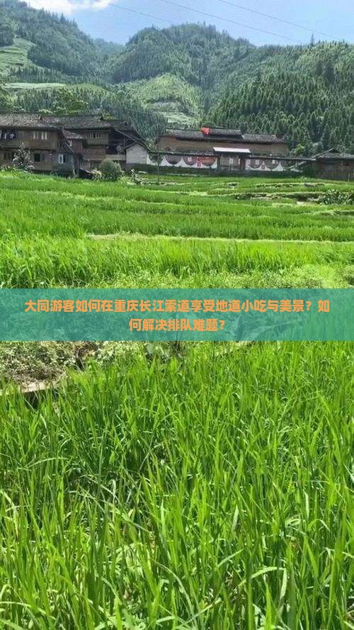 大同游客如何在重庆长江索道享受地道小吃与美景？如何解决排队难题？
